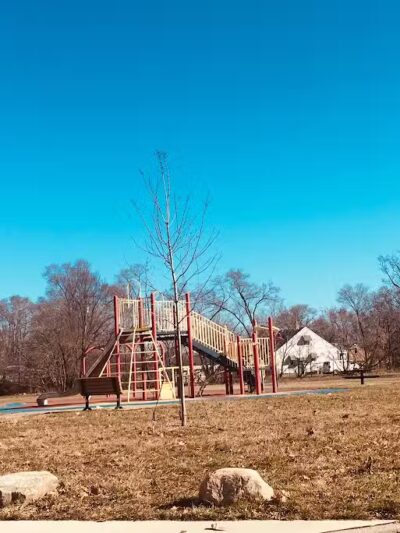 Mansfield-Diversey Park - Detroit,