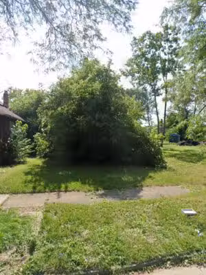 Manistique Dog Lovers Park - Detroit,