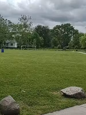 Mansfield-Diversey Park - Detroit,