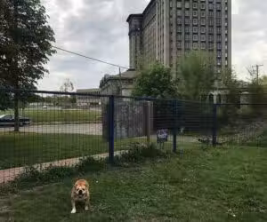 PetSmart P.U.P.'s Detroit Dog Park - Detroit,