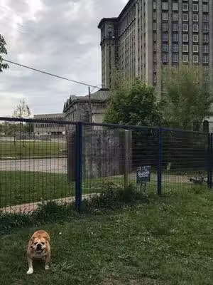 PetSmart P.U.P.'s Detroit Dog Park - Detroit,