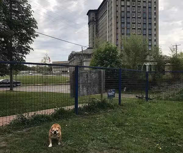 PetSmart P.U.P.'s Detroit Dog Park - Detroit,
