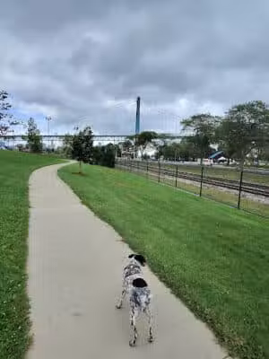 Riverside Dog Park - Detroit,