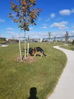 Riverside Park - Detroit,