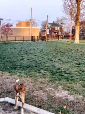 Rose Dog Park - Detroit,