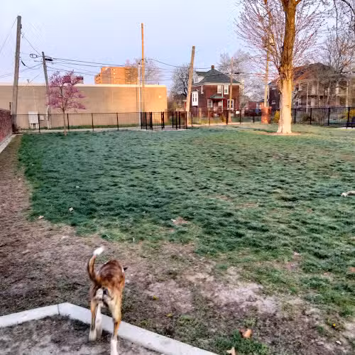 Rose Dog Park - Detroit,