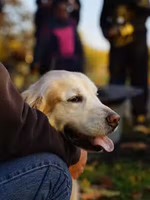 Rouge Park - Detroit,