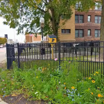 Midtown Dog Park - Detroit,