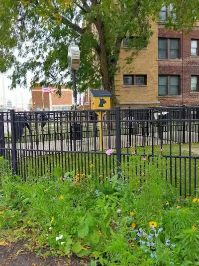 Midtown Dog Park - Detroit,