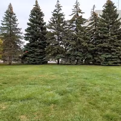 Pallister Park - Detroit,