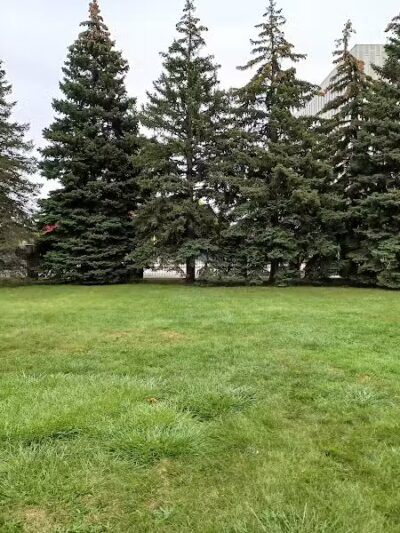 Pallister Park - Detroit,