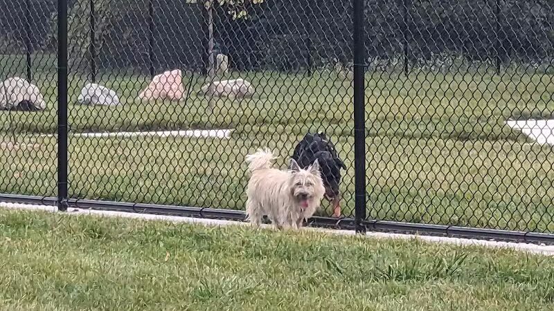 Palmer Dog Park - Detroit, MI