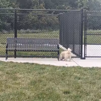 Palmer Dog Park - Detroit, MI