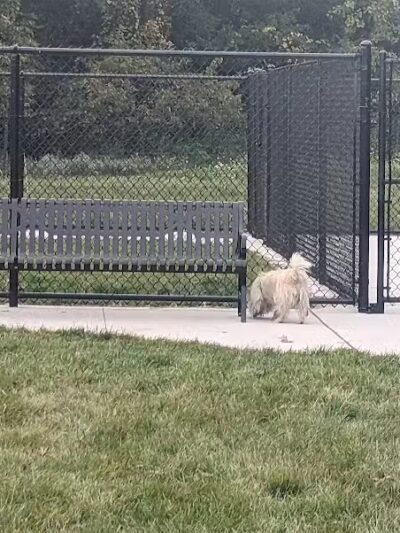 Palmer Dog Park - Detroit, MI