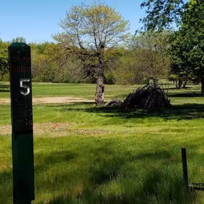 Palmer Park - Detroit,