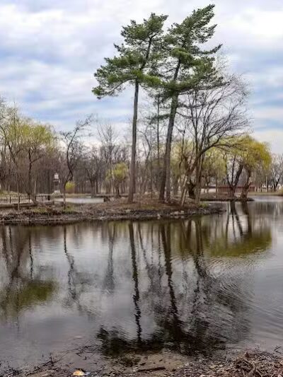 Palmer Park - Detroit,