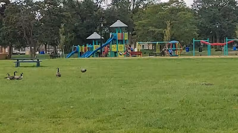 Palmer Park - Detroit,