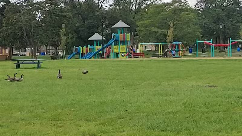 Palmer Park - Detroit,