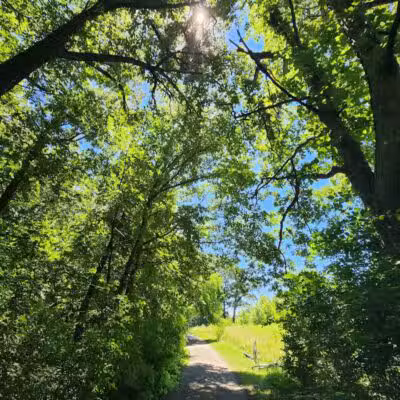 Palmer Park - Detroit,
