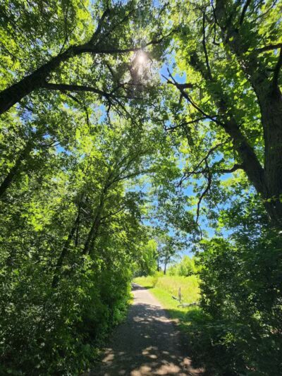 Palmer Park - Detroit,