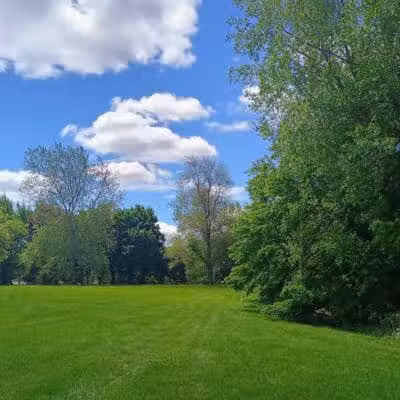 Patton park - Detroit,