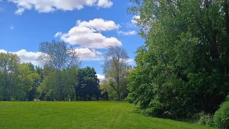 Patton park - Detroit,