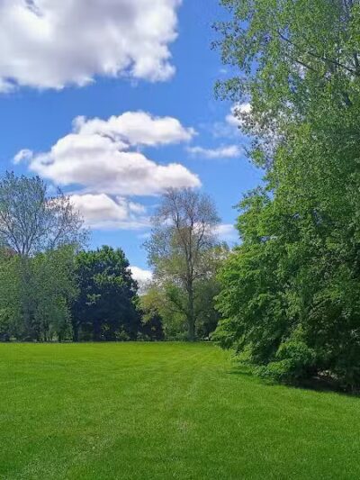 Patton park - Detroit,