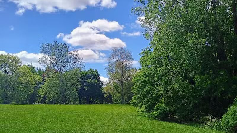 Patton park - Detroit,