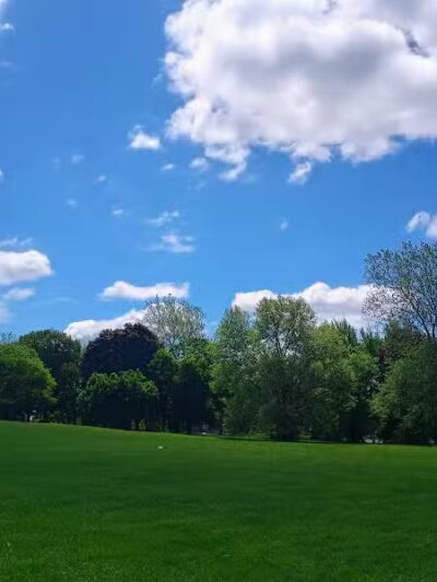 Patton park - Detroit,