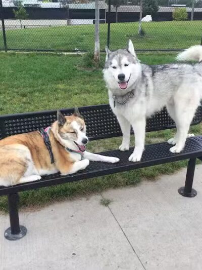 Riverside Dog Park - Detroit,