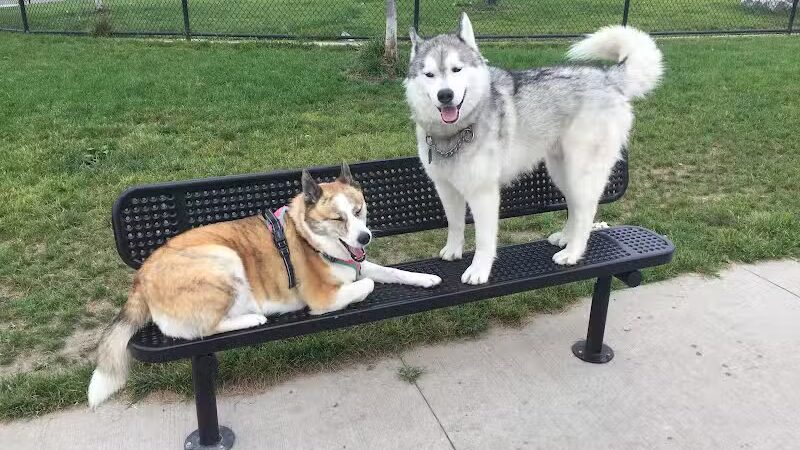 Riverside Dog Park - Detroit,
