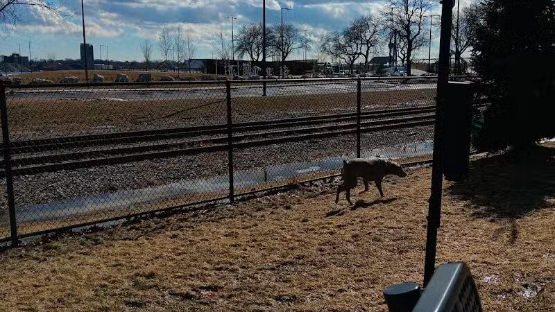 Riverside Dog Park - Detroit,