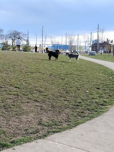 Riverside Dog Park - Detroit,