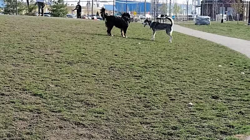 Riverside Dog Park - Detroit,