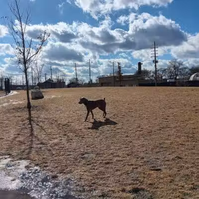 Riverside Dog Park - Detroit,