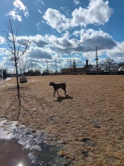Riverside Dog Park - Detroit,