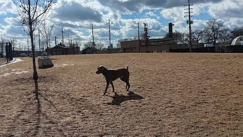 Riverside Dog Park - Detroit,