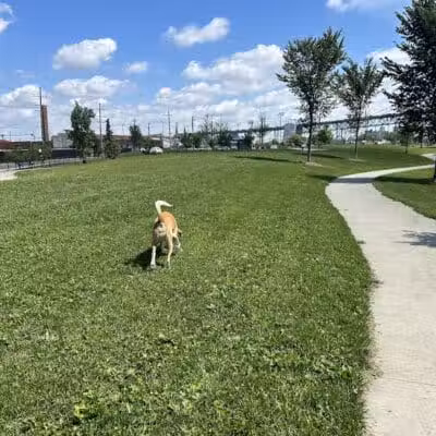 Riverside Dog Park - Detroit,