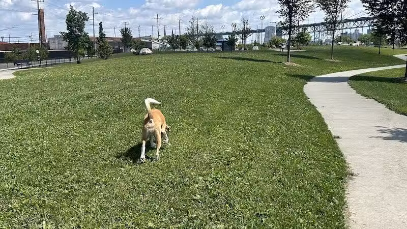 Riverside Dog Park - Detroit,