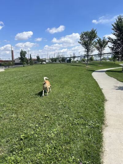 Riverside Dog Park - Detroit,