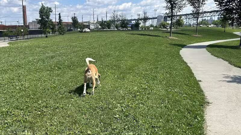 Riverside Dog Park - Detroit,