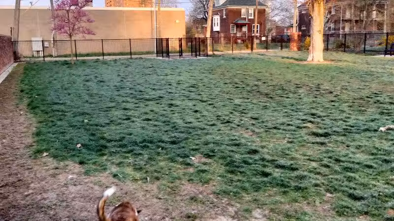 Rose Dog Park - Detroit,