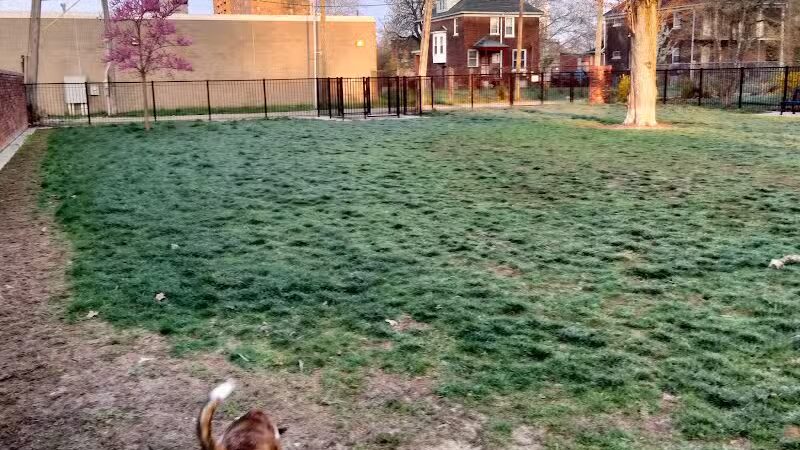 Rose Dog Park - Detroit,