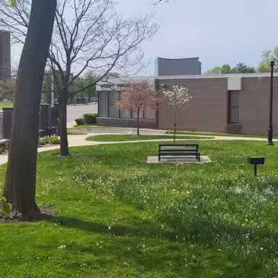 Rose Dog Park - Detroit,