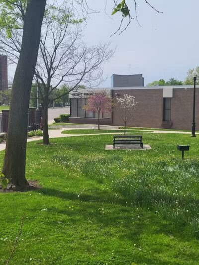 Rose Dog Park - Detroit,