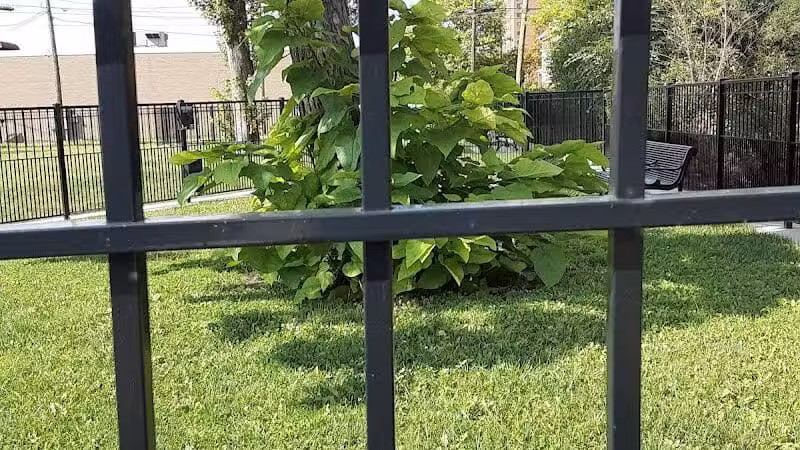 Rose Dog Park - Detroit,