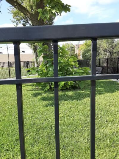 Rose Dog Park - Detroit,