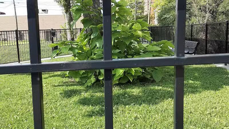 Rose Dog Park - Detroit,