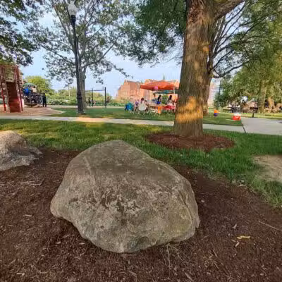 Rose Dog Park - Detroit,