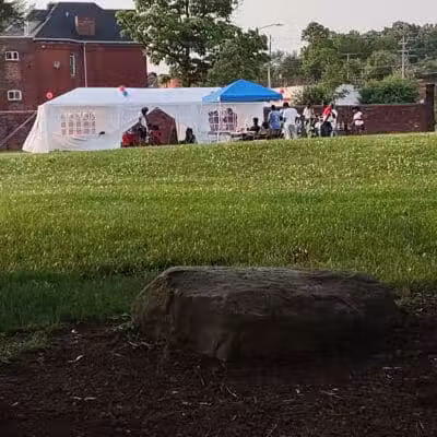 Rose Dog Park - Detroit,